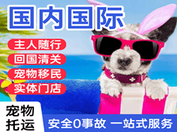 两江航空邮寄国际宠物托运 【国